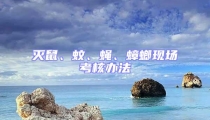 滅鼠、蚊、蠅、蟑螂現場考核辦法