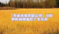 【專業(yè)殺蟲滅鼠公司】9招教你被跳蚤咬了怎么辦