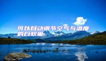 可以自動調(diào)節(jié)空氣與溫度的白蟻巢