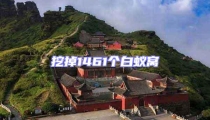 挖掉1461個(gè)白蟻窩