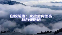 白蟻防治:家庭室內怎么樣白蟻防治
