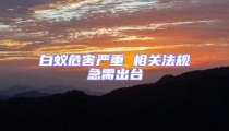 白蟻危害嚴重 相關法規急需出臺