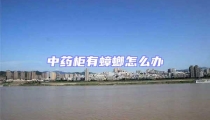 中藥柜有蟑螂怎么辦