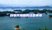 藥物滅蟑螂的注意事項