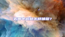 農(nóng)田中鼴鼠怎樣捕捉?