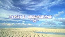 白蟻分飛 鋼筋水泥也能“吃”