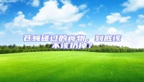蒼蠅碰過的食物,到底該不該扔掉?