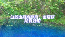 白蟻出沒高峰期,家居預(yù)防有妙招