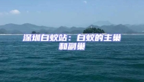 深圳白蟻站:白蟻的主巢和副巢