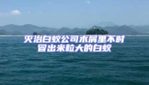 滅治白蟻公司木屑里不時(shí)冒出米粒大的白蟻