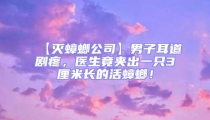 【滅蟑螂公司】男子耳道劇疼,醫(yī)生竟夾出一只3厘米長的活蟑螂!