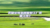 滅鼠公司怎樣做好工廠滅鼠工作?