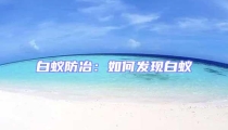 白蟻防冶:如何發現白蟻