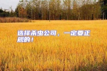 選擇殺蟲公司，一定要正規的！