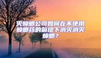 滅蟑螂公司如何在不使用蟑螂藥的前提下消滅消滅蟑螂？