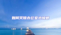 如何滅除辦公室小蟑螂