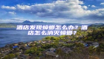 酒店發現蟑螂怎么辦?酒店怎么消滅蟑螂?