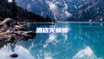 酒店滅蟑螂