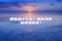 蜱蟲是什么蟲？如何預防被蜱蟲咬傷？