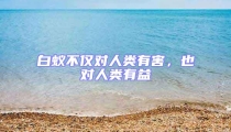 白蟻不僅對人類有害,也對人類有益