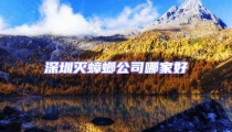 深圳滅蟑螂公司哪家好