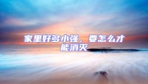 家里好多小強,要怎么才能消滅