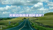 滅鼠藥物應(yīng)該如何選擇?