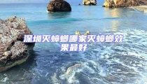 深圳滅蟑螂哪家滅蟑螂效果最好