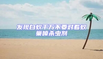 發(fā)現(xiàn)白蟻千萬不要對著蟻巢噴殺蟲劑