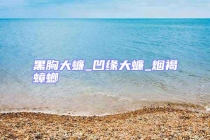 黑胸大蠊_凹緣大蠊_煙褐蟑螂