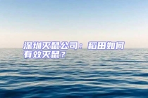 深圳滅鼠公司：稻田如何有效滅鼠？