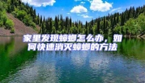 家里發(fā)現(xiàn)蟑螂怎么辦,如何快速消滅蟑螂的方法