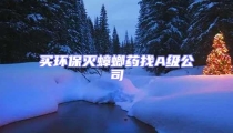 買環保滅蟑螂藥找A級公司