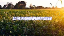 公司滅蟑螂的服務(wù)流程