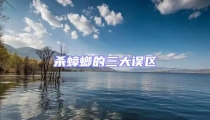 殺蟑螂的三大誤區(qū)