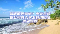 如何消滅蟑螂?專業殺蟑螂公司教大家怎樣用陷阱除滅蟑螂