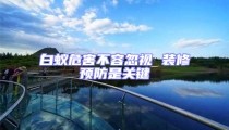 白蟻危害不容忽視 裝修預防是關鍵
