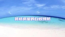 裝修房屋的白蟻預防