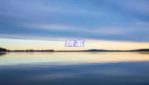 跳蚤