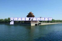 滅跳蚤需要了解的跳蚤特點(diǎn)