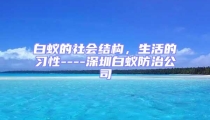 白蟻的社會結(jié)構(gòu),生活的習性----深圳白蟻防治公司