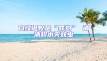 白紋伊蚊是“罪魁” 請清積水滅蚊蟲