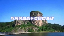 發(fā)現(xiàn)家白蟻不要擅自處理