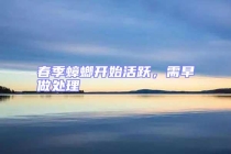 春季蟑螂開始活躍，需早做處理