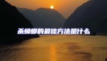 殺蟑螂的最佳方法是什么