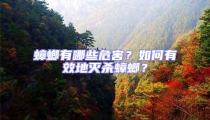 蟑螂有哪些危害?如何有效地滅殺蟑螂?