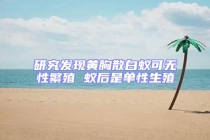研究發現黃胸散白蟻可無性繁殖 蟻后是單性生殖