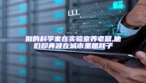別的科學家在實驗室養老鼠,他們卻奔波在城市里抓耗子