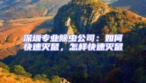 深圳專業除蟲公司:如何快速滅鼠,怎樣快速滅鼠