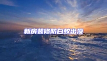 新房裝修防白蟻出沒